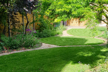 Long narrow town Garden in Chiswick